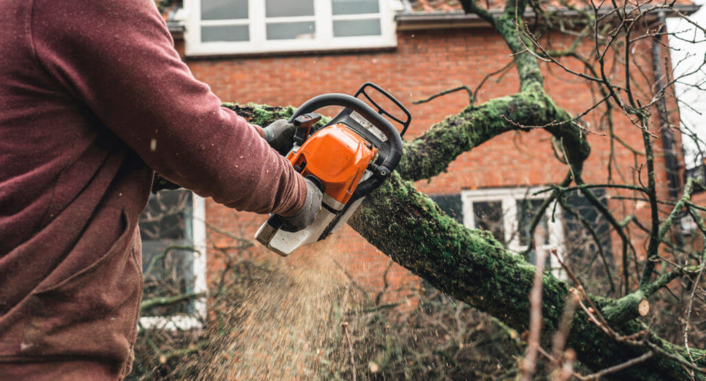 Residential-Tree-Services